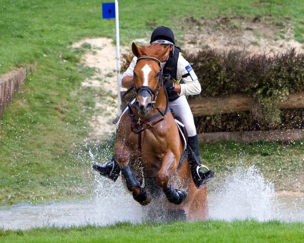 concours-complet-cross-selle-prestige