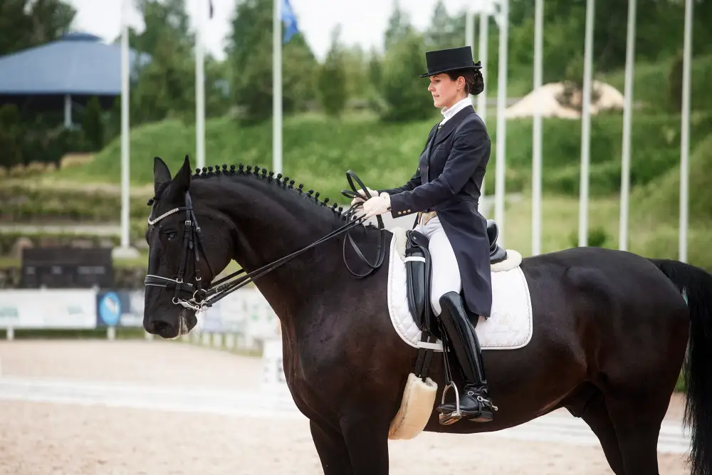 dressage-concours-prestige