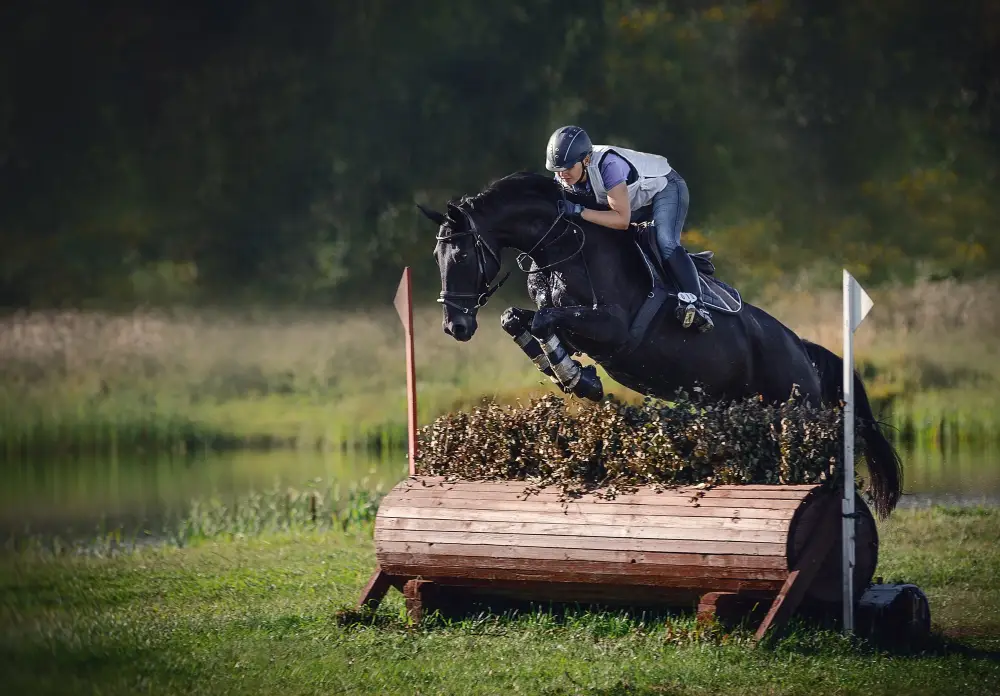 complet-cheval-selle-prestige