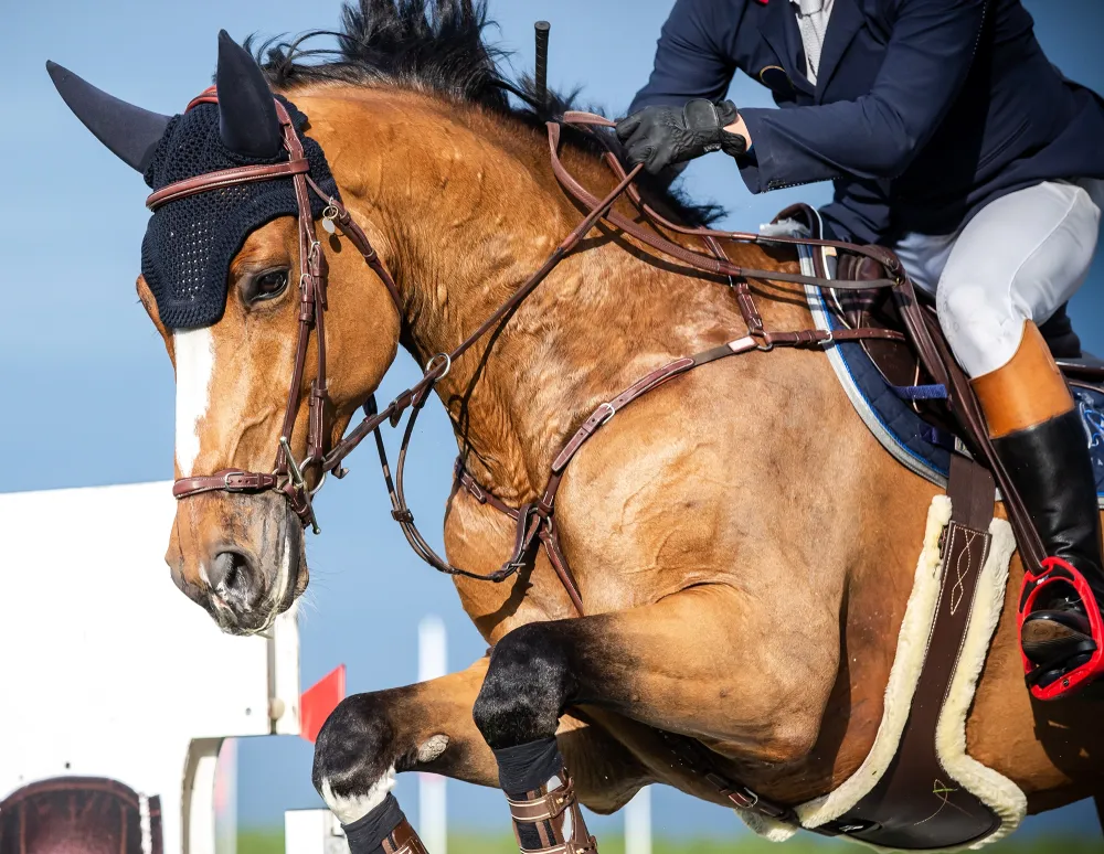 grand-prix-obstacle-françois-tanguy