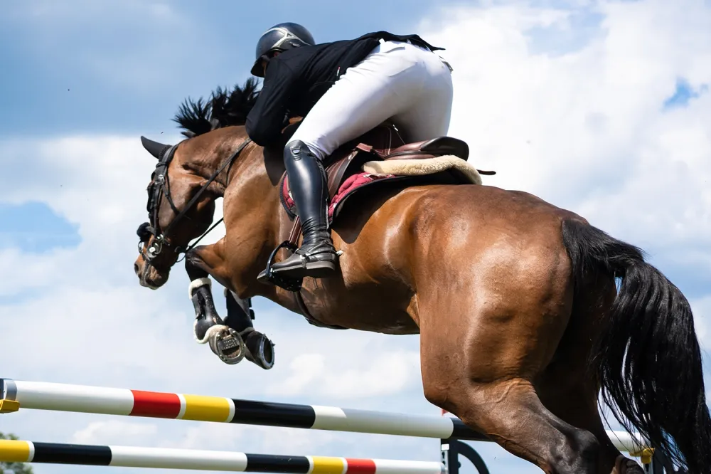 saut-d-obstacle-baie