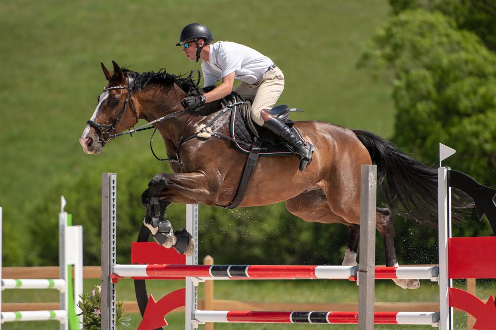 cheval-saut-entrainement